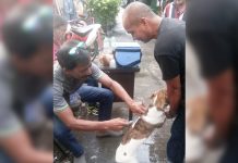 ‘There’s money but no anti-rabies vaccines’