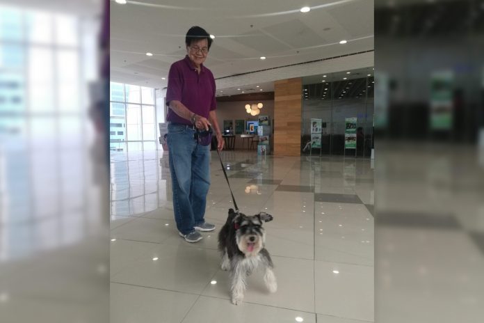 SM Pet