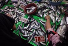 ‘SELF-SUFFICIENT’ WV NOT IMPORTING ‘GALUNGGONG’