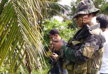 NPA STRIKES BACK