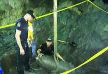 Wartime bomb found in construction site