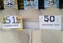 Cheap NFA rice in ‘rolling stores’ in Aklan