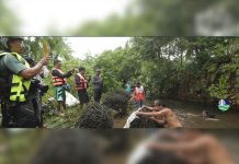 P300T worth of threatened PH plant seized