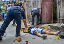 66th drug war casualty peppered with bullets