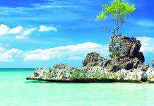 PH geothermal energy giant to help restore Boracay wetland