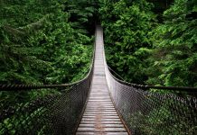 DENR approves 2 hanging bridges for Calinog