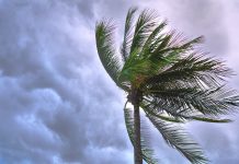 Storm surge wrecks 15 houses in Iloilo