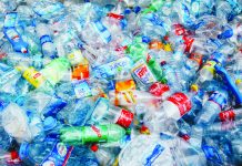 Plastic bottles needed for hybrid vessel project