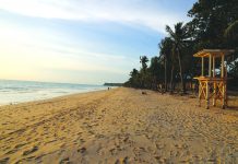 Int’l investors explore Region 6 in 5-day tour