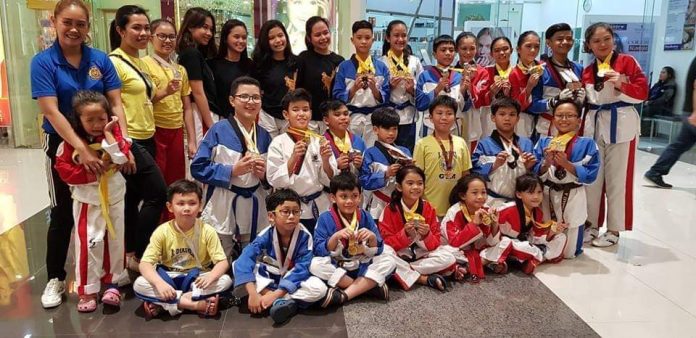 A. Diasnes Taekwondo Gym