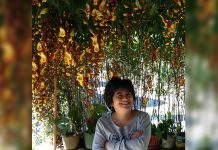 Filipina gets UN top environmental award