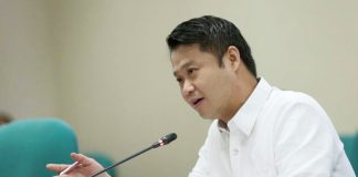 Sen. Sherwin Gatchalian.