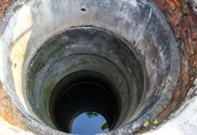 Dead twin sisters in well