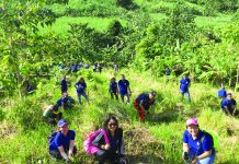 SM leads tree-planting activity in Anilao