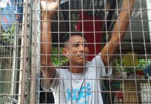 Suspect in Passi teacher rape-slay falls