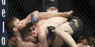 Nurmagomedov chokes out McGregor; melee mars UFC 229 bout