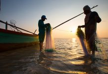The three-month fishing ban from November 2019 to February 2020 was lifted on Sunday, Feb. 16. PN FILE