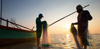 The three-month fishing ban from November 2019 to February 2020 was lifted on Sunday, Feb. 16. PN FILE