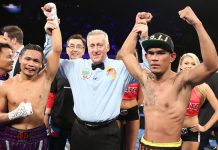 Donnie Nietes guns for super flyweight title anew