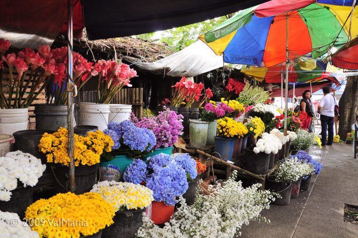 Flowers PHOTO BY VALMANIA/FLICKR