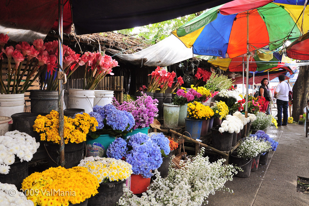 With Bacolod Public Plaza rehab, flower vendors ordered to transfer