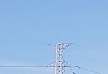 Man hangs on NGCP power line, then falls
