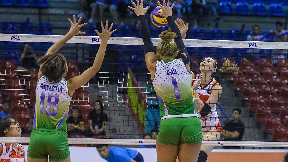 Why i love volleyball essay picture