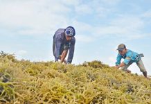 Guimaras hosts int’l forum on coastal management