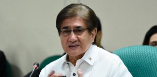 Information Technology secretary Gregorio Honasan II