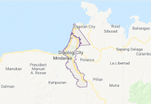 Negros Occidental ‘narco cop’ killed in Dipolog