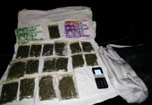 P14,700 in marijuana netted in Bacolod City