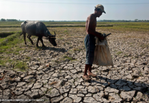 DENR to activate emergency response teams for El Niño