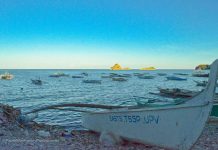 COLOR-CODING: Boats tagged as Iloilo steps up campaign against illegal fishing