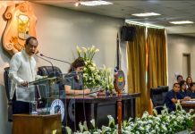 ‘SET ASIDE POLITICS’: Defensor urges Prov’l Board to approve 2019 budget