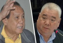 Defensor files cyber libel rap vs critic Mejorada