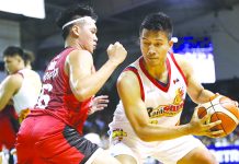 Norwood shows way as Painters prevail over Kings