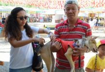 NegOcc dog owners form group to strengthen anti-rabies drive