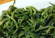Seaweed with anticancer benefits can be found in Aklan, Iloilo