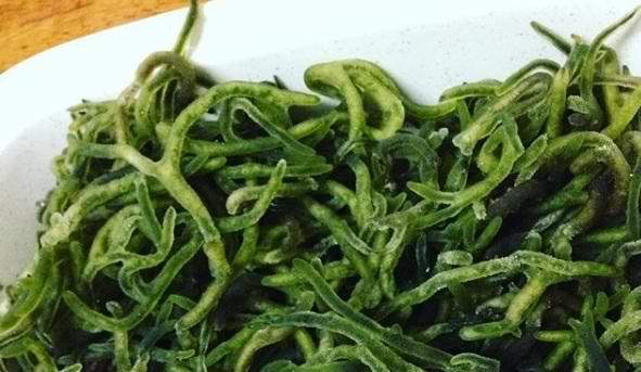 Codium seaweed species pukpuklo