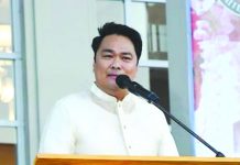 Bacolod solon seeks to split city into two congressional districts