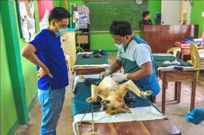 Dog Neutering Iloilo