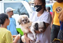 Enforcement officers for animal welfare mulled