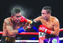 Nietes camp negotiates rematch with Palicte