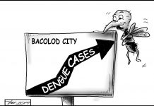 Practical strategies vs dengue