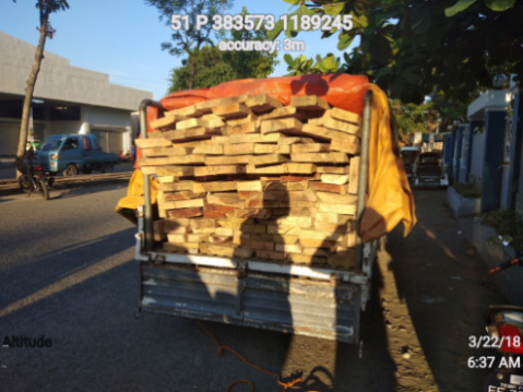Forest Products