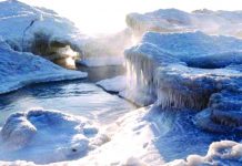 Polar vortex brings deadly cold spell