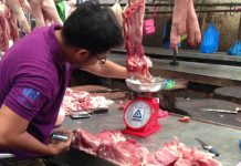Market weighing scales calibrated