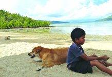 ‘Rabies-free’ status eyed in 5 northern Iloilo brgys