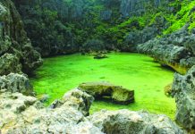 Local officials urged to implement env’t laws