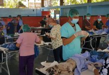 Vets conduct free spaying, neutering of dogs, cats